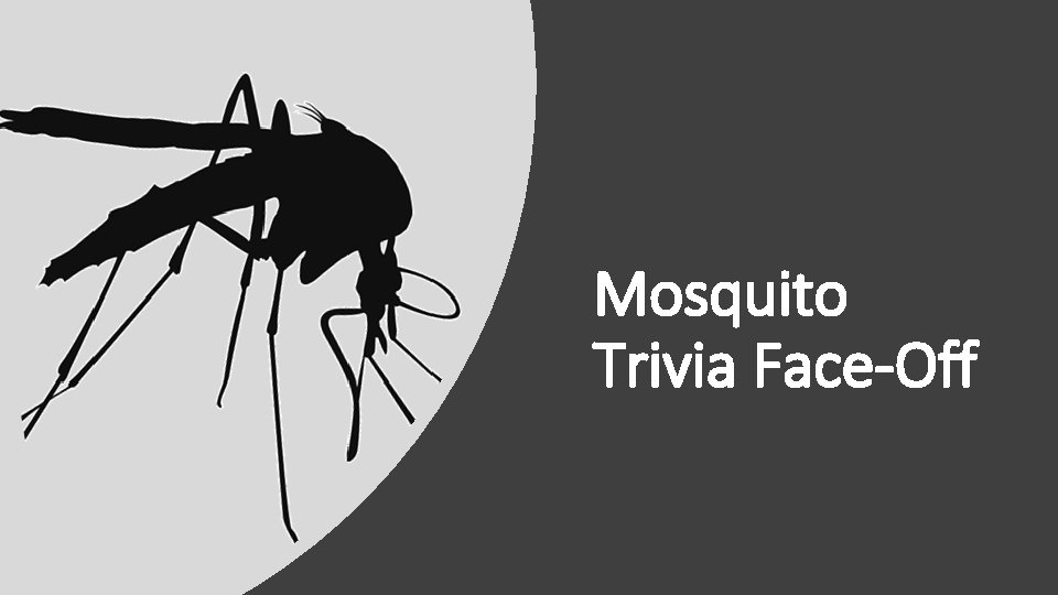 Mosquito Trivia Face-Off 