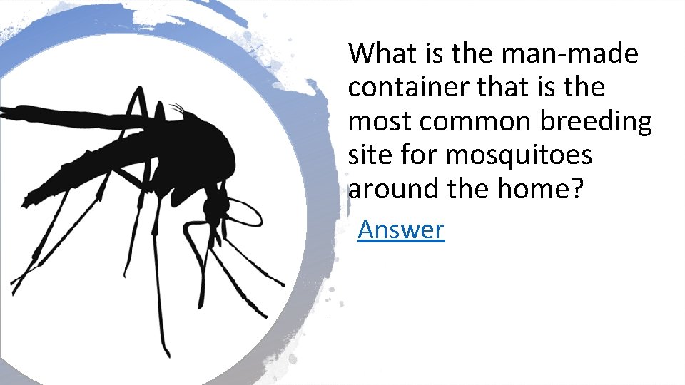 What is the man-made container that is the most common breeding site for mosquitoes