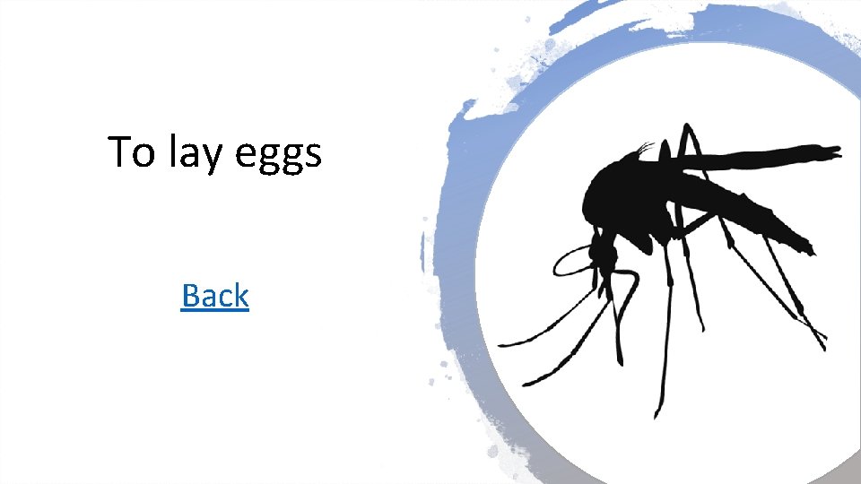 To lay eggs Back 