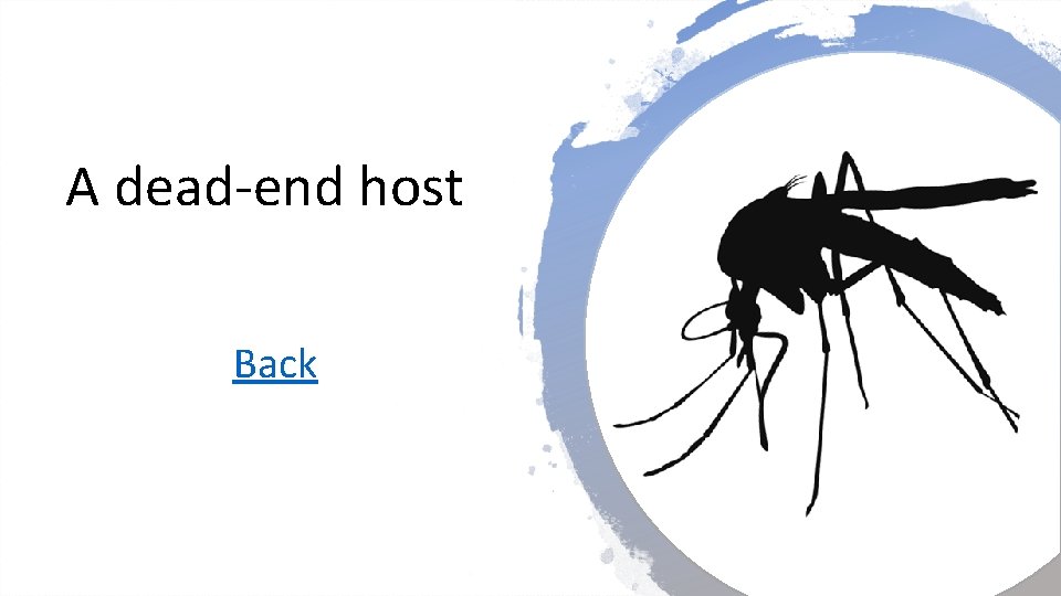 A dead-end host Back 