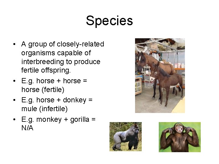 Species • A group of closely-related organisms capable of interbreeding to produce fertile offspring.