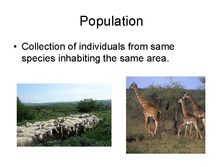 Population • Collection of individuals from same species inhabiting the same area. 