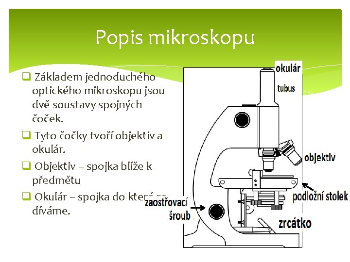 Popis mikroskopu q Základem jednoduchého optického mikroskopu jsou dvě soustavy spojných čoček. q Tyto
