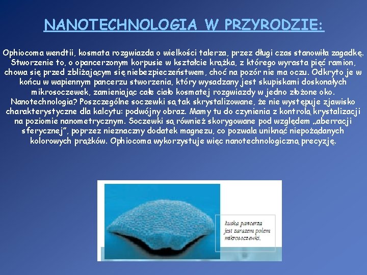 NANOTECHNOLOGIA W PRZYRODZIE: Ophiocoma wendtii, kosmata rozgwiazda o wielkości talerza, przez długi czas stanowiła