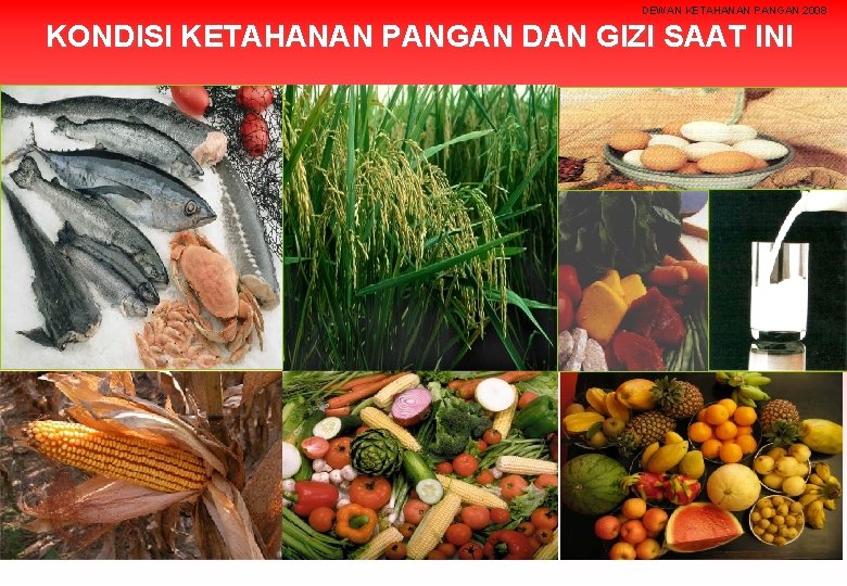 DEWAN KETAHANAN PANGAN 2008 KONDISI KETAHANAN PANGAN DAN GIZI SAAT INI 23 