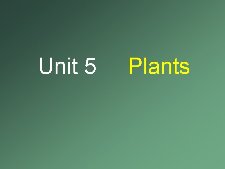 Unit 5 Plants Unit 5 Plants