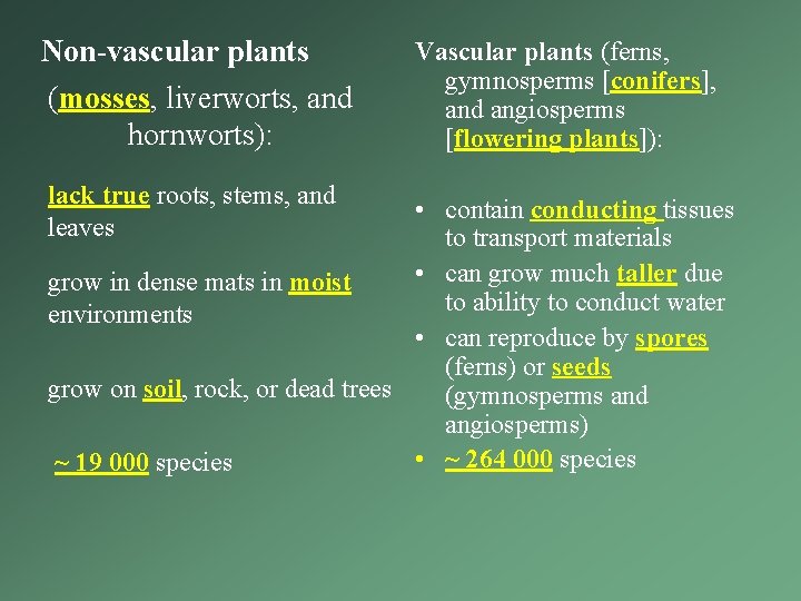 Non-vascular plants (mosses, liverworts, and hornworts): lack true roots, stems, and leaves Vascular plants Non-vascular plants (mosses, liverworts, and hornworts): lack true roots, stems, and leaves Vascular plants