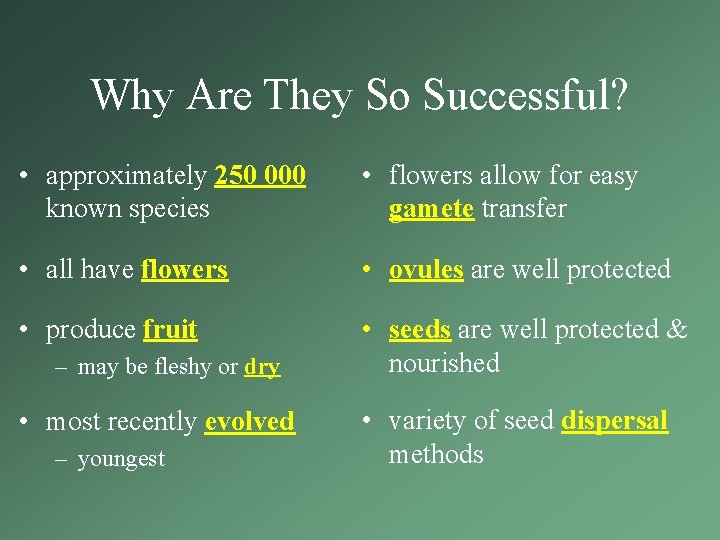 Why Are They So Successful? • approximately 250 000 known species • flowers allow Why Are They So Successful? • approximately 250 000 known species • flowers allow