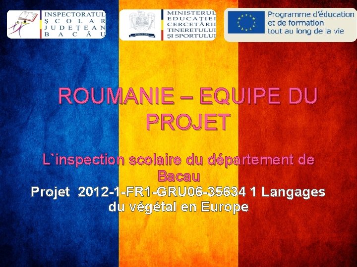 ROUMANIE – EQUIPE DU PROJET L`inspection scolaire du département de Bacau Projet 2012 -1