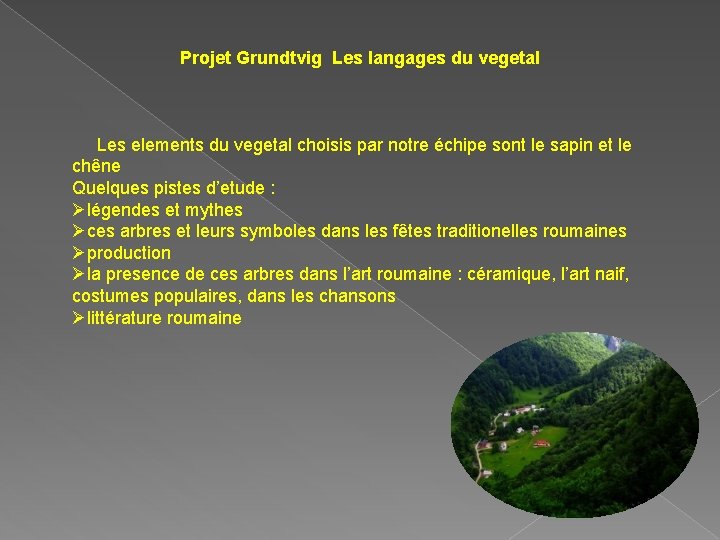 Projet Grundtvig Les langages du vegetal Les elements du vegetal choisis par notre échipe
