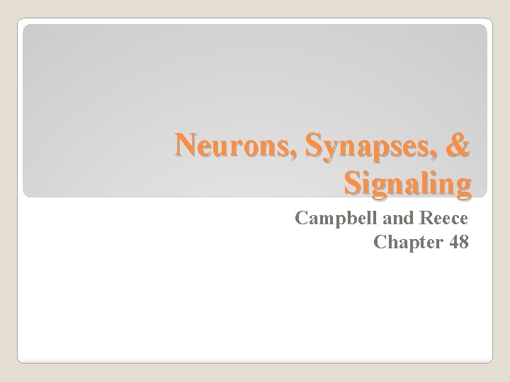 Neurons, Synapses, & Signaling Campbell and Reece Chapter 48 