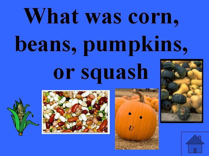 What was corn, beans, pumpkins, or squash. . U 