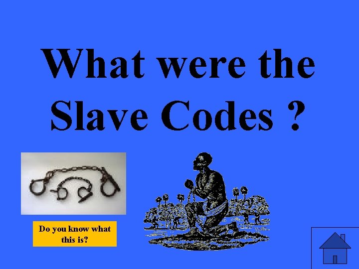 What were the Slave Codes ? Do you know what this is? 