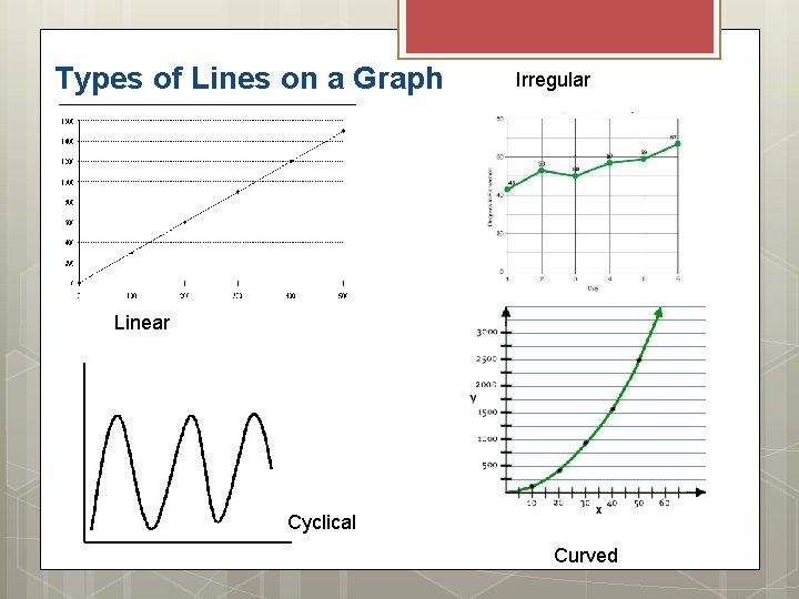 Types of Lines on a Graph Irregular Linear Cyclical Curved 