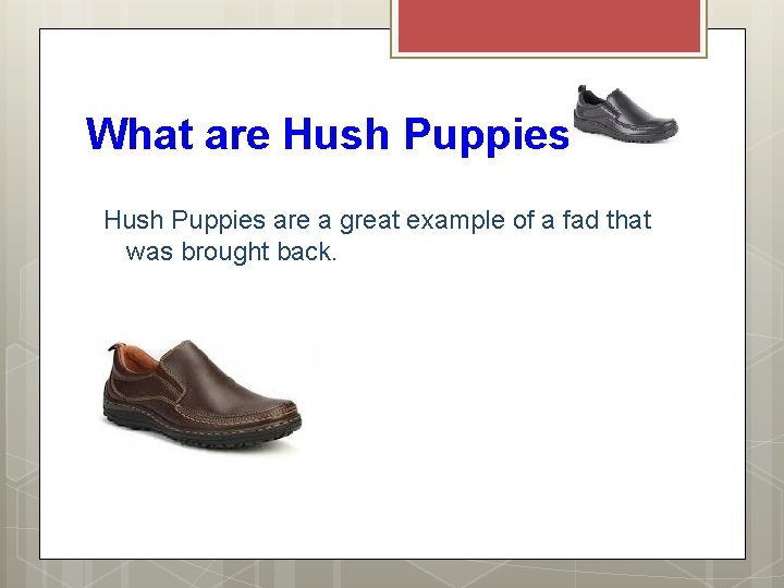 What are Hush Puppies? Hush Puppies are a great example of a fad that
