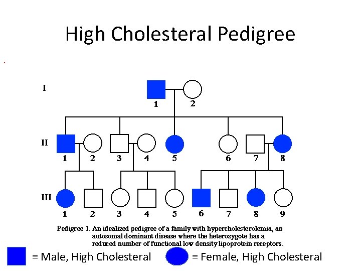 High Cholesteral Pedigree = Male, High Cholesteral = Female, High Cholesteral 