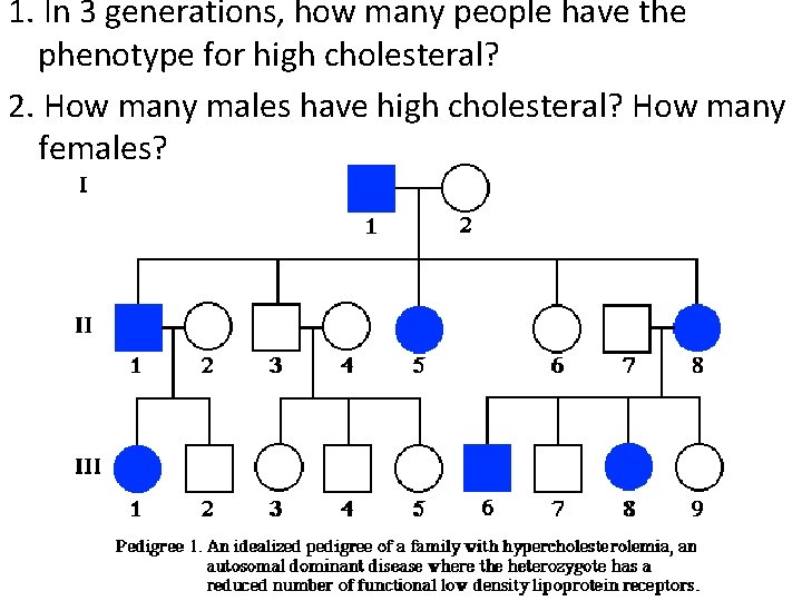 1. In 3 generations, how many people have the phenotype for high cholesteral? 2.