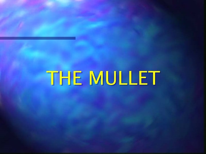 THE MULLET THE MULLET