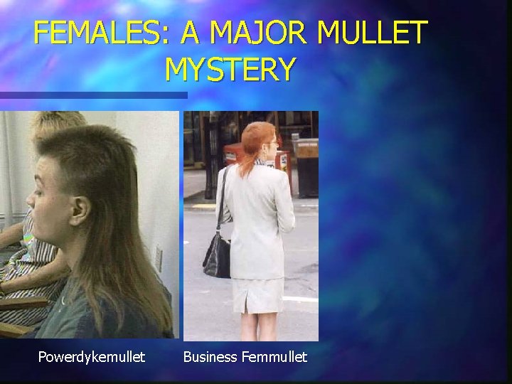 FEMALES: A MAJOR MULLET MYSTERY Powerdykemullet Business Femmullet FEMALES: A MAJOR MULLET MYSTERY Powerdykemullet Business Femmullet