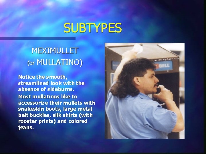 SUBTYPES MEXIMULLET (or MULLATINO) Notice the smooth, streamlined look with the absence of sideburns. SUBTYPES MEXIMULLET (or MULLATINO) Notice the smooth, streamlined look with the absence of sideburns.