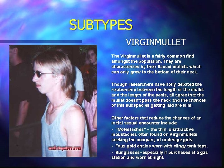 SUBTYPES VIRGINMULLET The Virginmullet is a fairly common find amongst the population. They are SUBTYPES VIRGINMULLET The Virginmullet is a fairly common find amongst the population. They are