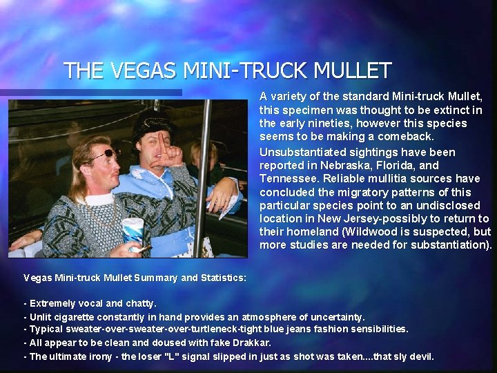 THE VEGAS MINI-TRUCK MULLET A variety of the standard Mini-truck Mullet, this specimen was THE VEGAS MINI-TRUCK MULLET A variety of the standard Mini-truck Mullet, this specimen was