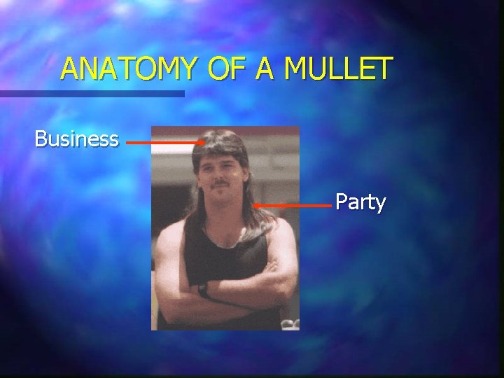 ANATOMY OF A MULLET Business Party ANATOMY OF A MULLET Business Party