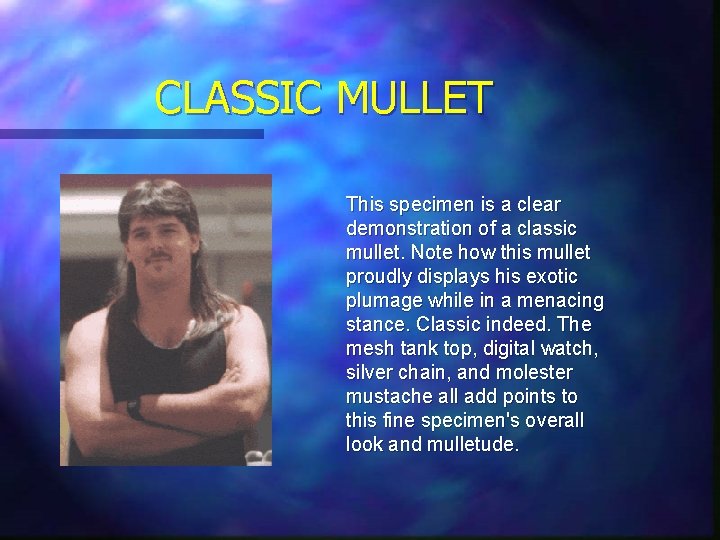 CLASSIC MULLET This specimen is a clear demonstration of a classic mullet. Note how CLASSIC MULLET This specimen is a clear demonstration of a classic mullet. Note how