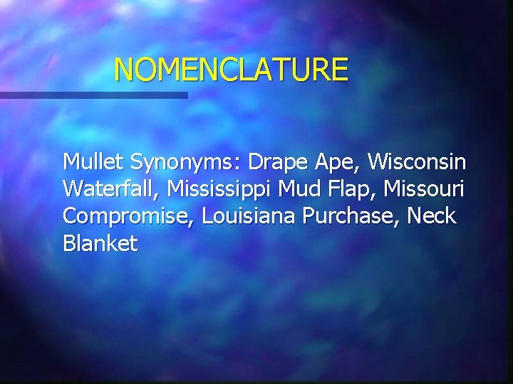 NOMENCLATURE Mullet Synonyms: Drape Ape, Wisconsin Waterfall, Mississippi Mud Flap, Missouri Compromise, Louisiana Purchase, NOMENCLATURE Mullet Synonyms: Drape Ape, Wisconsin Waterfall, Mississippi Mud Flap, Missouri Compromise, Louisiana Purchase,