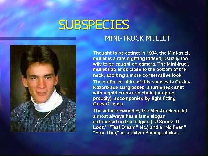 SUBSPECIES MINI-TRUCK MULLET Thought to be extinct in 1994, the Mini-truck mullet is a SUBSPECIES MINI-TRUCK MULLET Thought to be extinct in 1994, the Mini-truck mullet is a