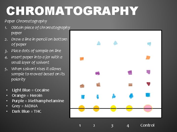 CHROMATOGRAPHY Paper Chromatography 1. Obtain piece of chromatography paper 2. Draw a line in