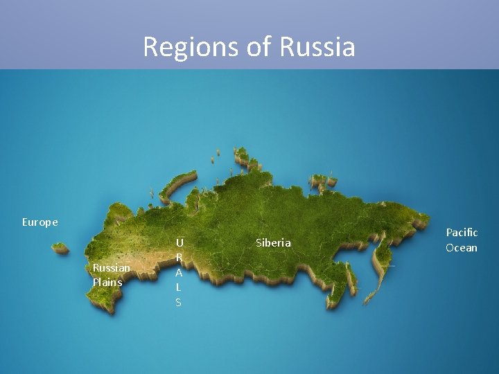Regions of Russia Europe Russian Plains U R A L S Siberia Pacific Ocean
