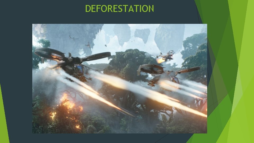 DEFORESTATION 