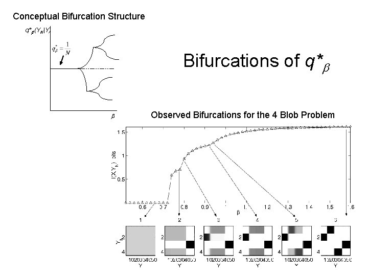 Conceptual Bifurcation Structure q* (YN|Y) Bifurcations of q* Observed Bifurcations for the 4 Blob