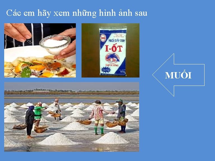 Các em hãy xem những hình ảnh sau MUỐI 