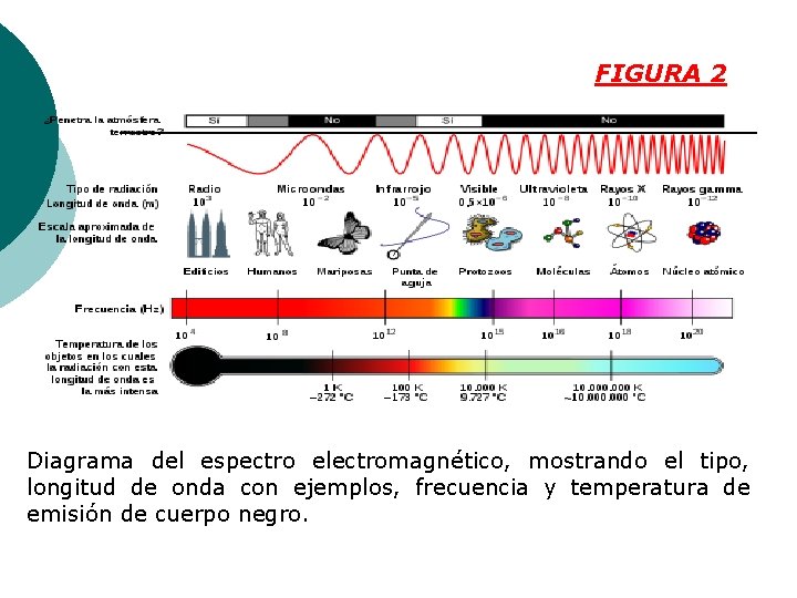 FIGURA 2 Diagrama del espectro electromagnético, mostrando el tipo, longitud de onda con ejemplos,