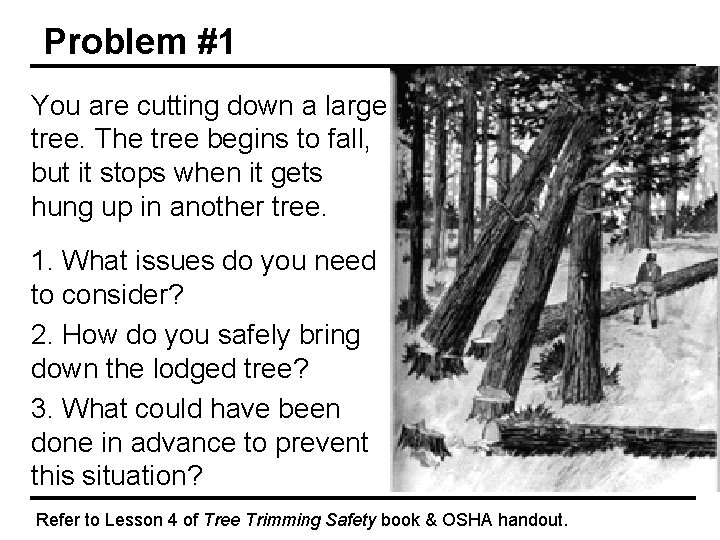 Problem #1 You are cutting down a large tree. The tree begins to fall,