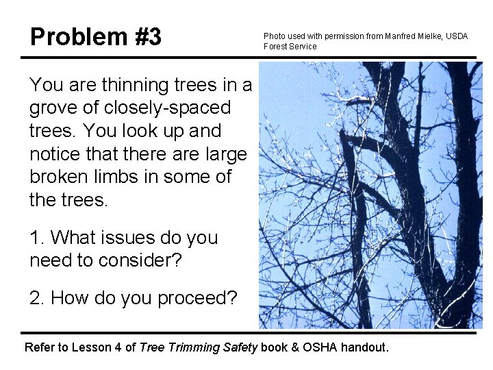 Problem #3 Photo used with permission from Manfred Mielke, USDA Forest Service You are