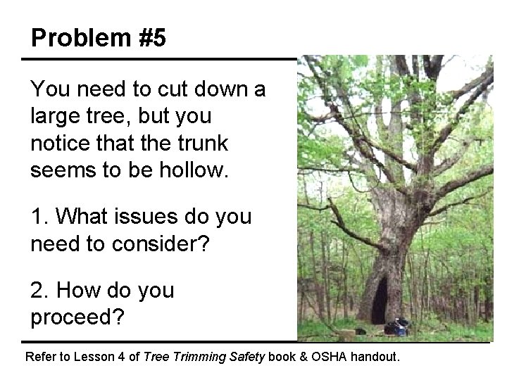 Problem #5 You need to cut down a large tree, but you notice that