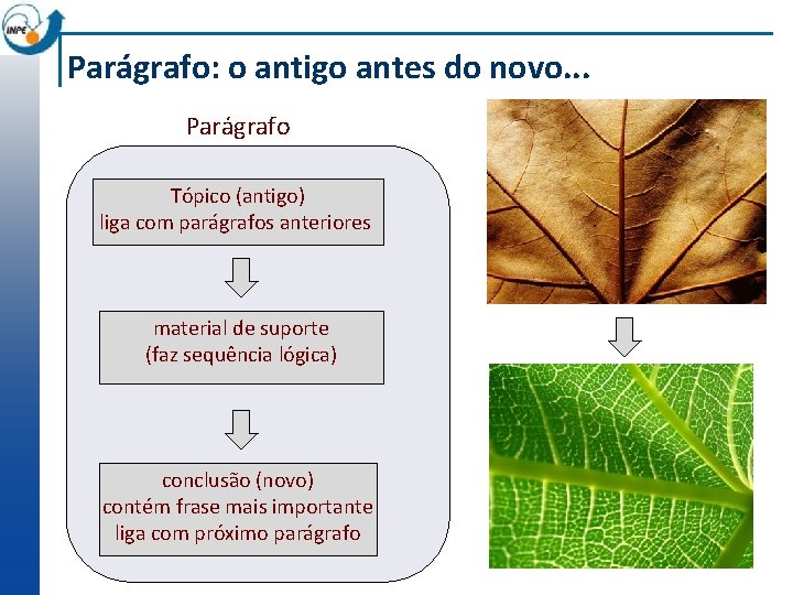 Parágrafo: o antigo antes do novo. . . Parágrafo Tópico (antigo) liga com parágrafos