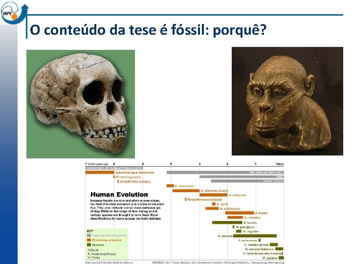 O conteúdo da tese é fóssil: porquê? 