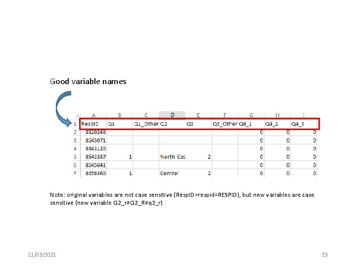 Good variable names Note: original variables are not case sensitive (Resp. ID=respid=RESPID), but new