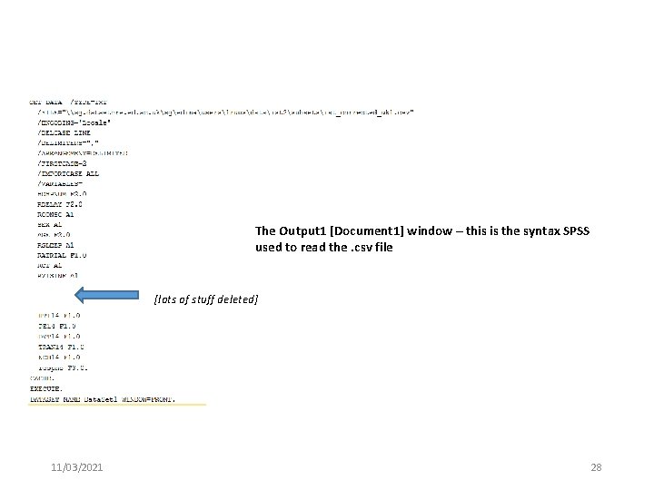 The Output 1 [Document 1] window – this is the syntax SPSS used to