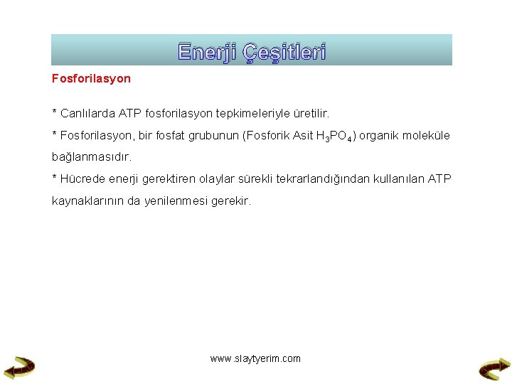 Enerji Çeşitleri Fosforilasyon * Canlılarda ATP fosforilasyon tepkimeleriyle üretilir. * Fosforilasyon, bir fosfat grubunun