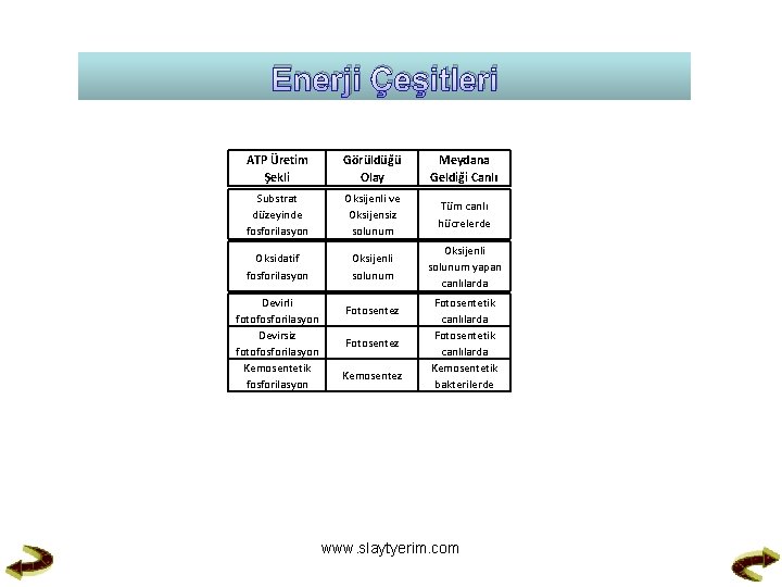 Enerji Çeşitleri ATP Üretim Şekli Görüldüğü Olay Meydana Geldiği Canlı Substrat düzeyinde fosforilasyon Oksijenli