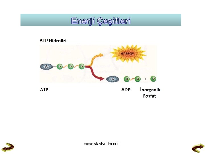 Enerji Çeşitleri www. slaytyerim. com 