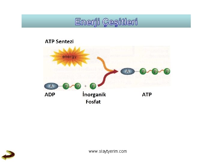Enerji Çeşitleri www. slaytyerim. com 