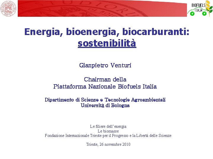 Energia, bioenergia, biocarburanti: sostenibilità Gianpietro Venturi Chairman della Piattaforma Nazionale Biofuels Italia Dipartimento di