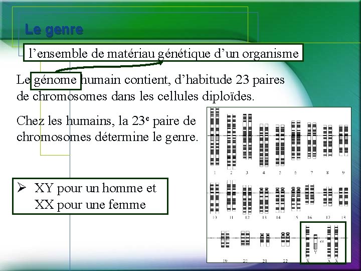 Le genre l’ensemble de matériau génétique d’un organisme Le génome humain contient, d’habitude 23