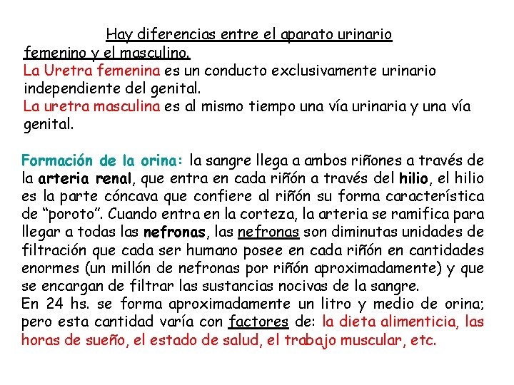 Hay diferencias entre el aparato urinario femenino y el masculino. La Uretra femenina es